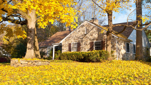 house-in-fall-autumn-leaves-090516-hero